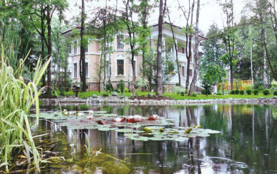 Преимущества создания на загородном участке искусственного водоема