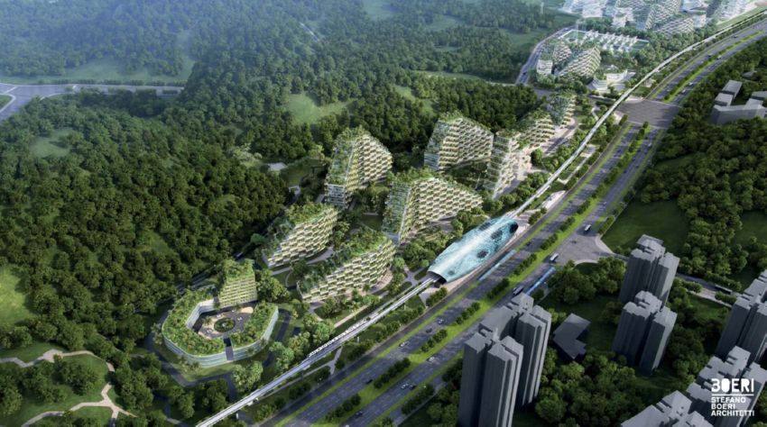 Forest City в Лючжоу